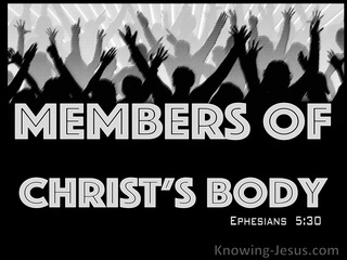 Ephesians 5:30 Members Of His Body And His Bones (gray)